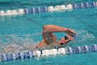 Swimming & Diving vs Babson  Swimming & Diving vs Babson College. - Photo by Keith Nordstrom : Wheaton, Swimming